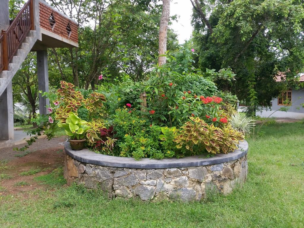 Tranquality Chalets Tangalle Pokoj fotografie