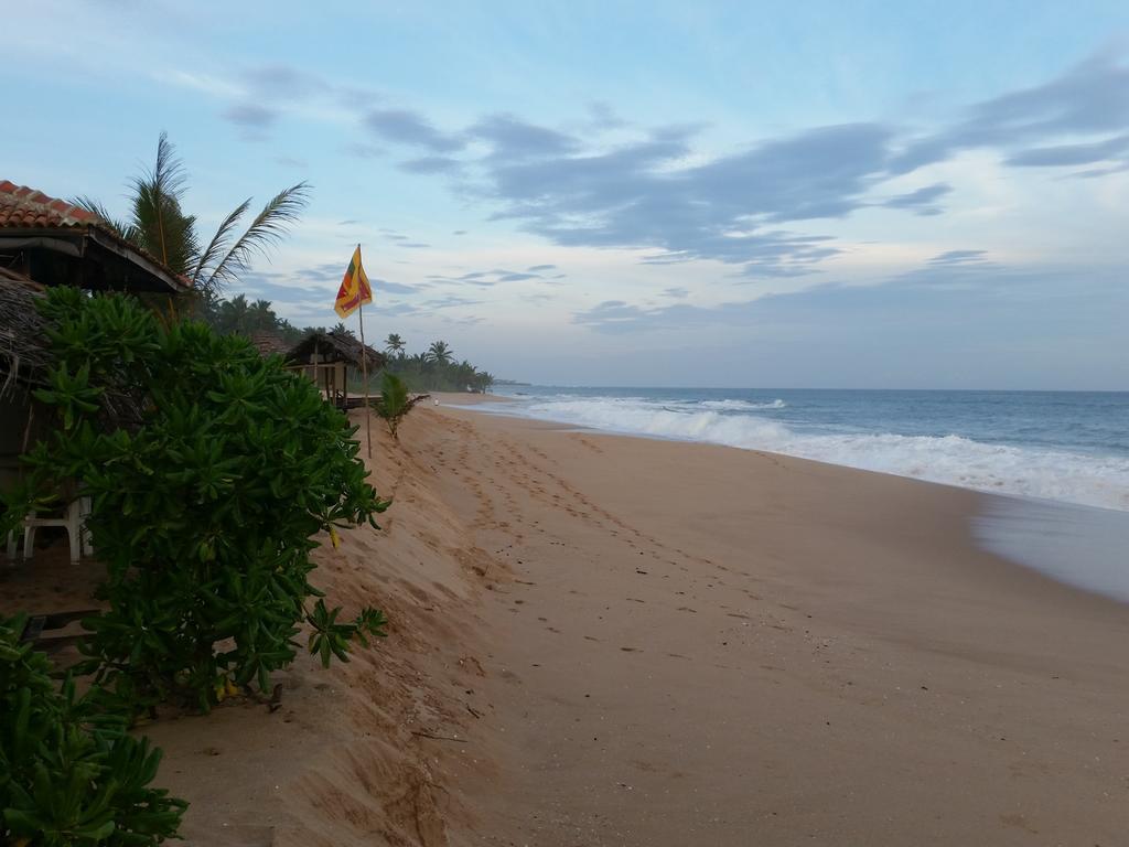 Tranquality Chalets Tangalle Pokoj fotografie