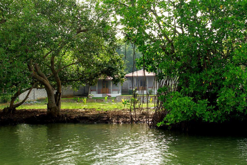 Tranquality Chalets Tangalle Exteriér fotografie